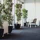 Alto Dining Chair Grey