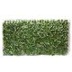 Green Wall Wrap