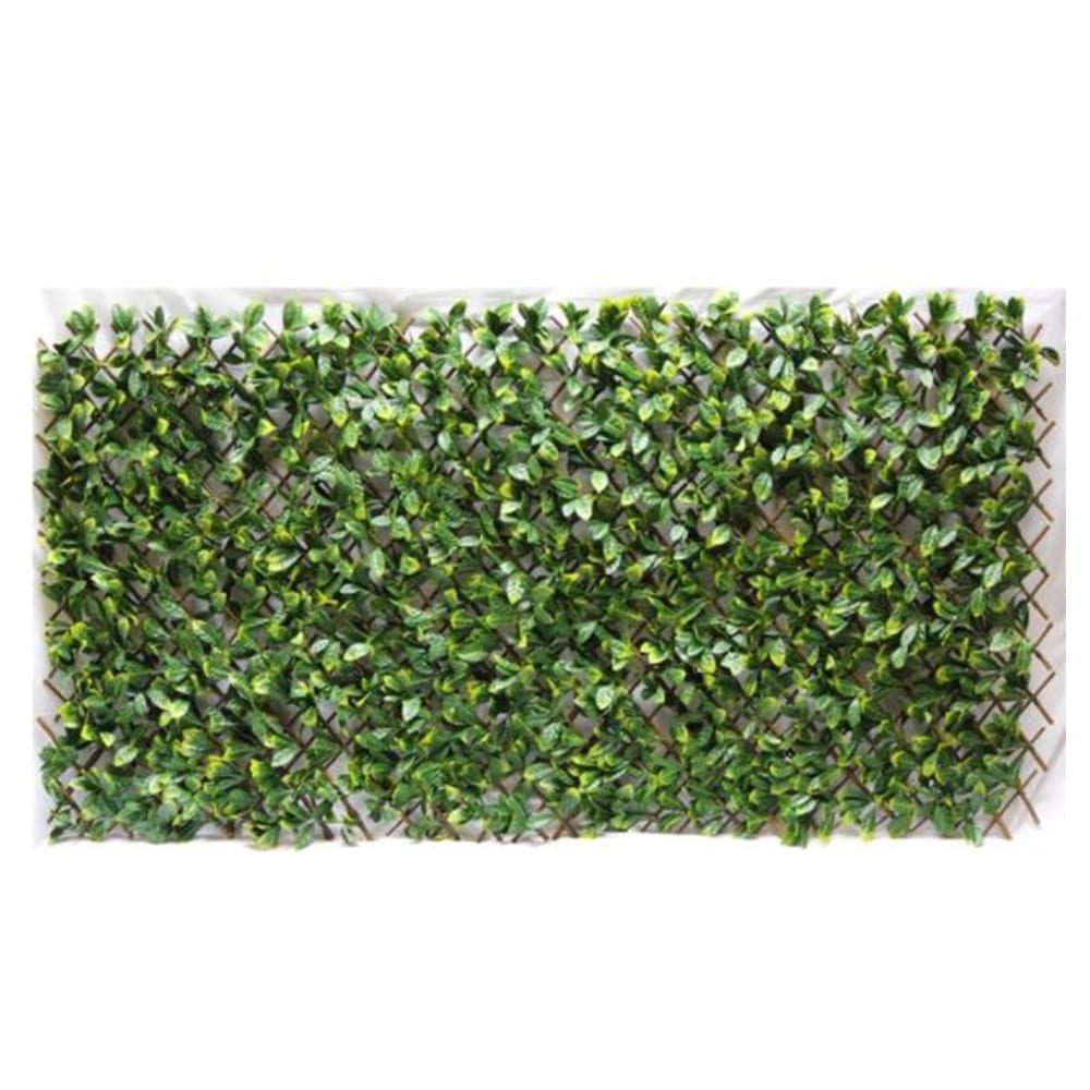 Green Wall Wrap