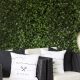 Green Wall Wrap