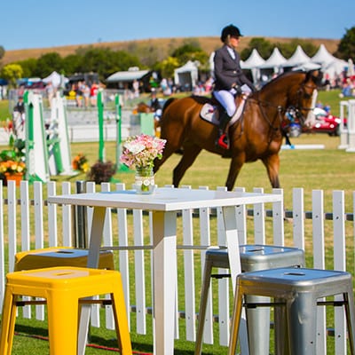 MORETON_HIRE_AQUIS_SHOW_JUMPING_2016 10 lr 1