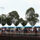 Multiflex Pagoda Marquee 3m x 3m