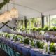 Uniflex Arcum Marquee 10m wide
